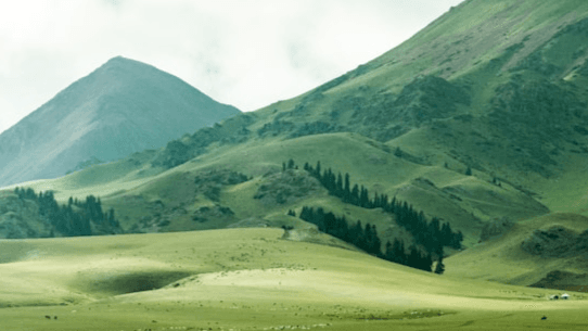My 9 Rituals for a Calmer Nervous System Board