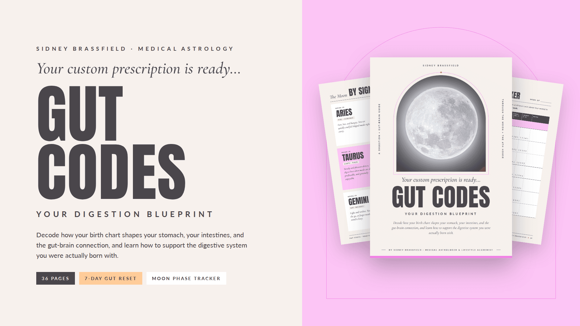 Gut Codes: Your Digestion Blueprint