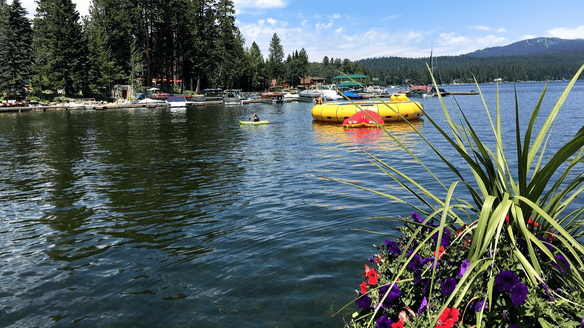 Summer Guide
