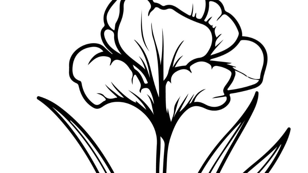 Digital Flowers Coloring Book with Journal pages 