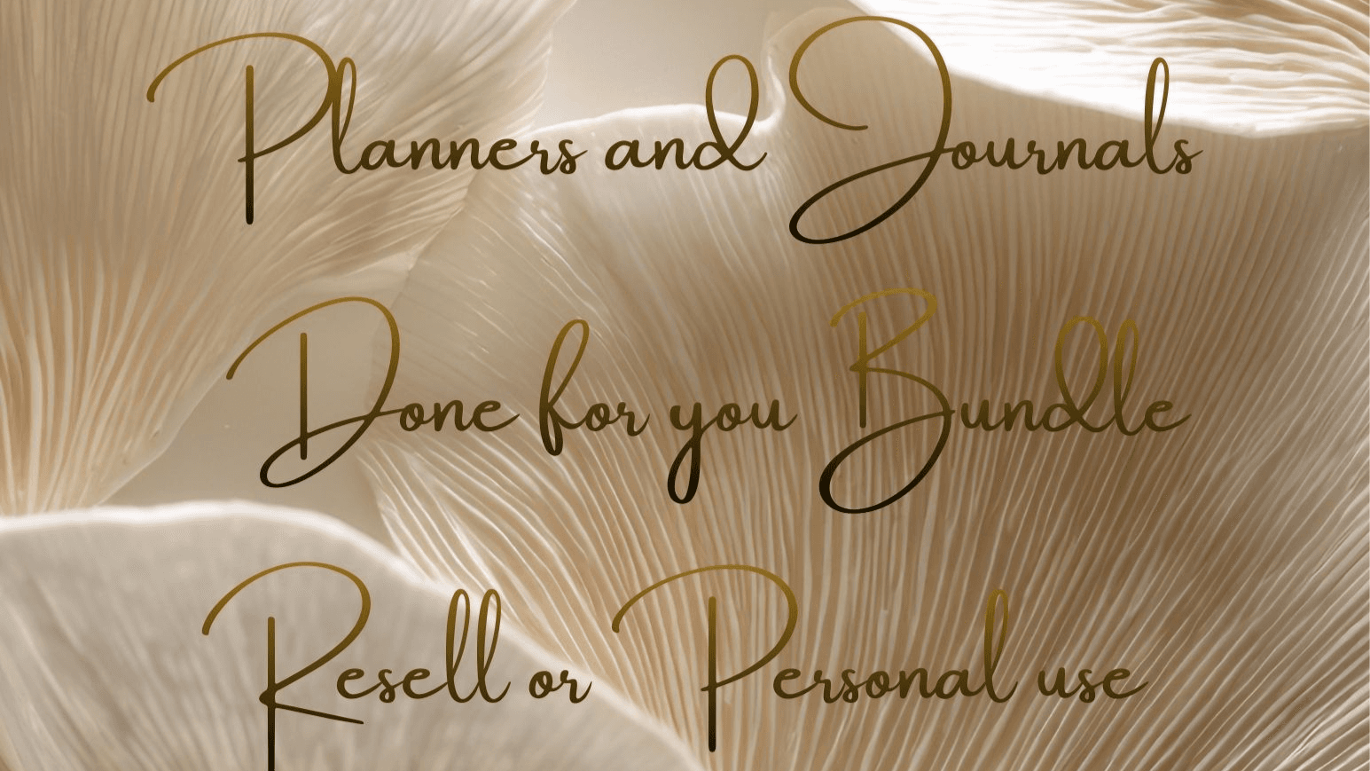 DFY Journals & Planners Bundle 