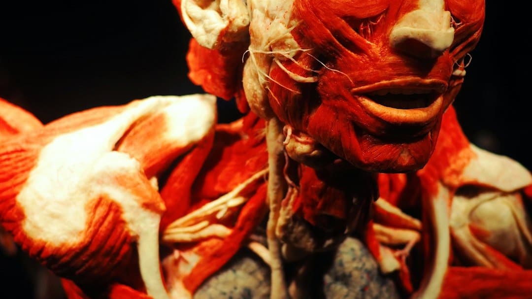 Facial & Skin Anatomy and Physiology E-Book