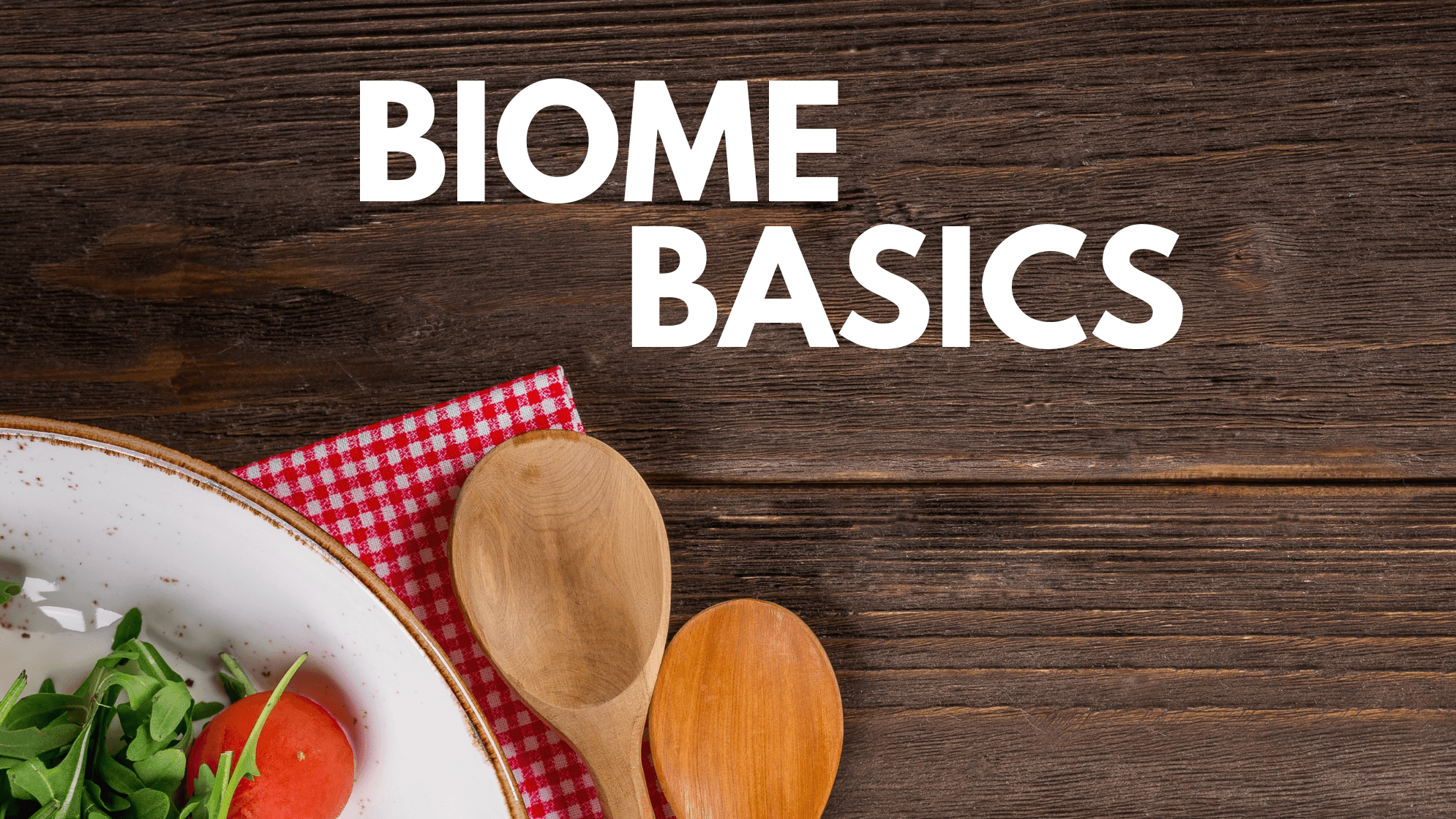 Learning program to optimise your gut biome here! 