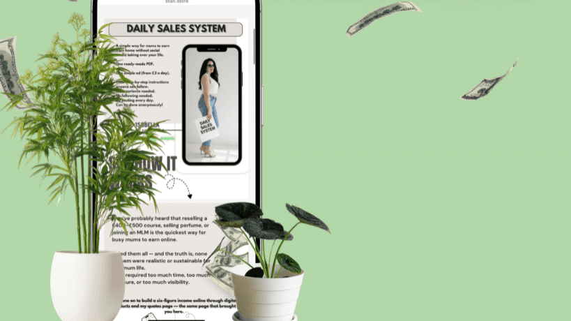 Daily Sales System Personalised Audit
