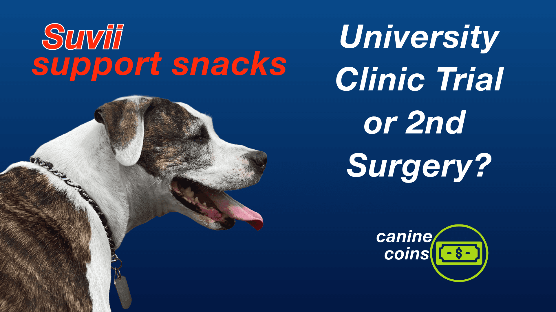 Canine 'Coins' for Her Care