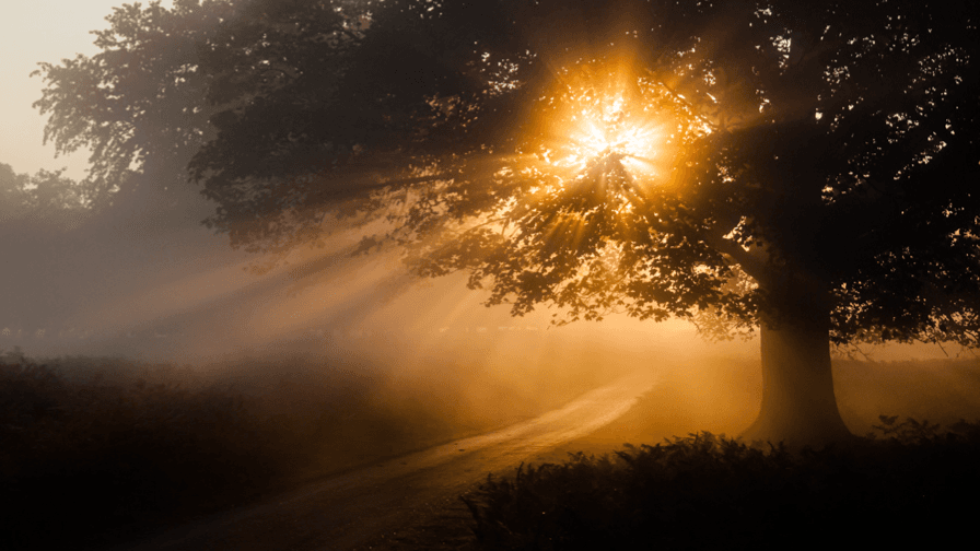 My 10 Rules of Life in Our Changing World