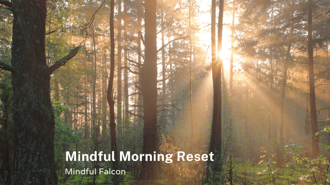 Mindful Morning Reset