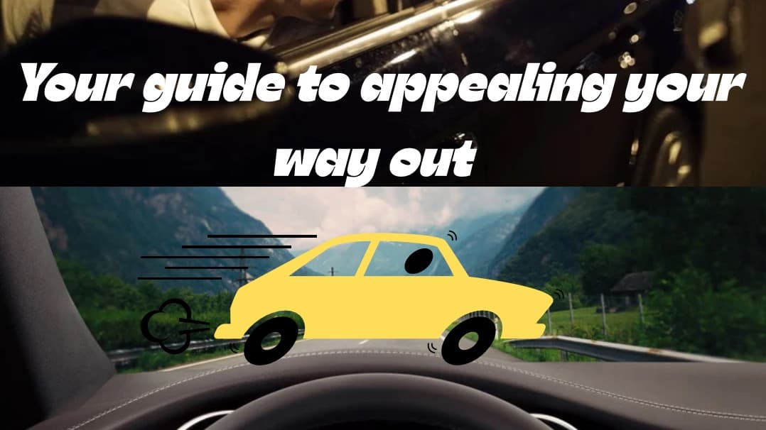 Driving conviction manual 