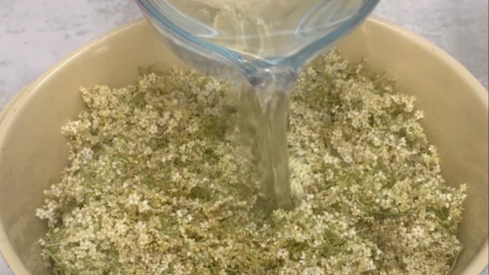 The BEST Elderflower Cordial