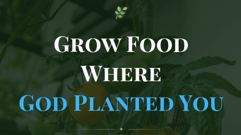 Grow Where God Planted You...In Containers