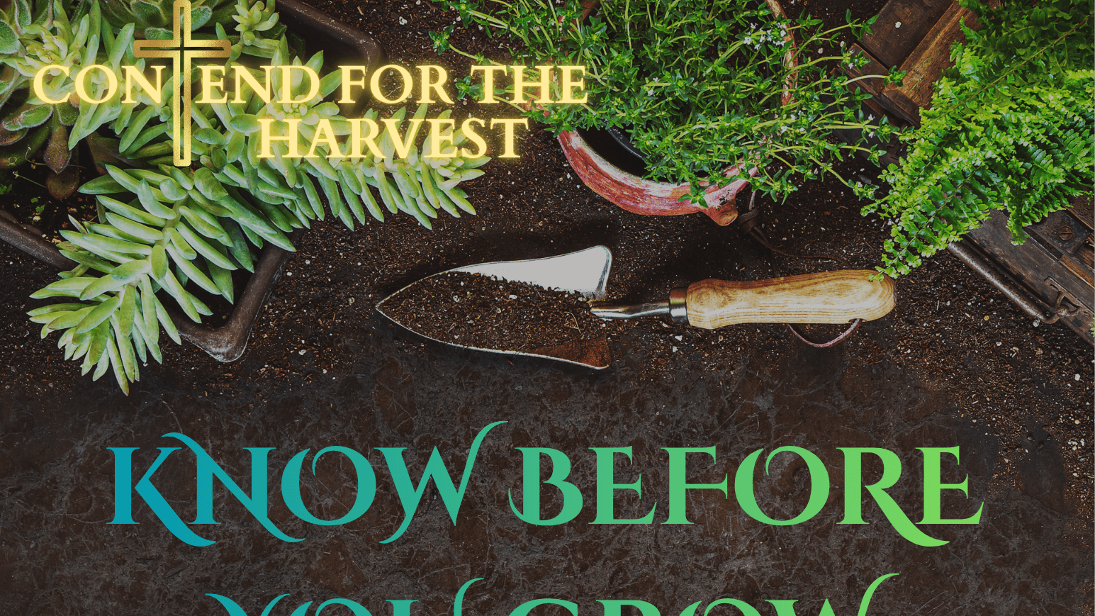 Know Before You Grow:What Growing Zone Are You In?