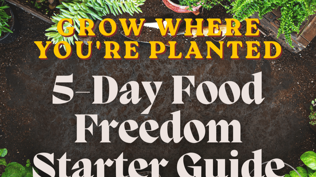 5-Day Food Freedom Container Guide