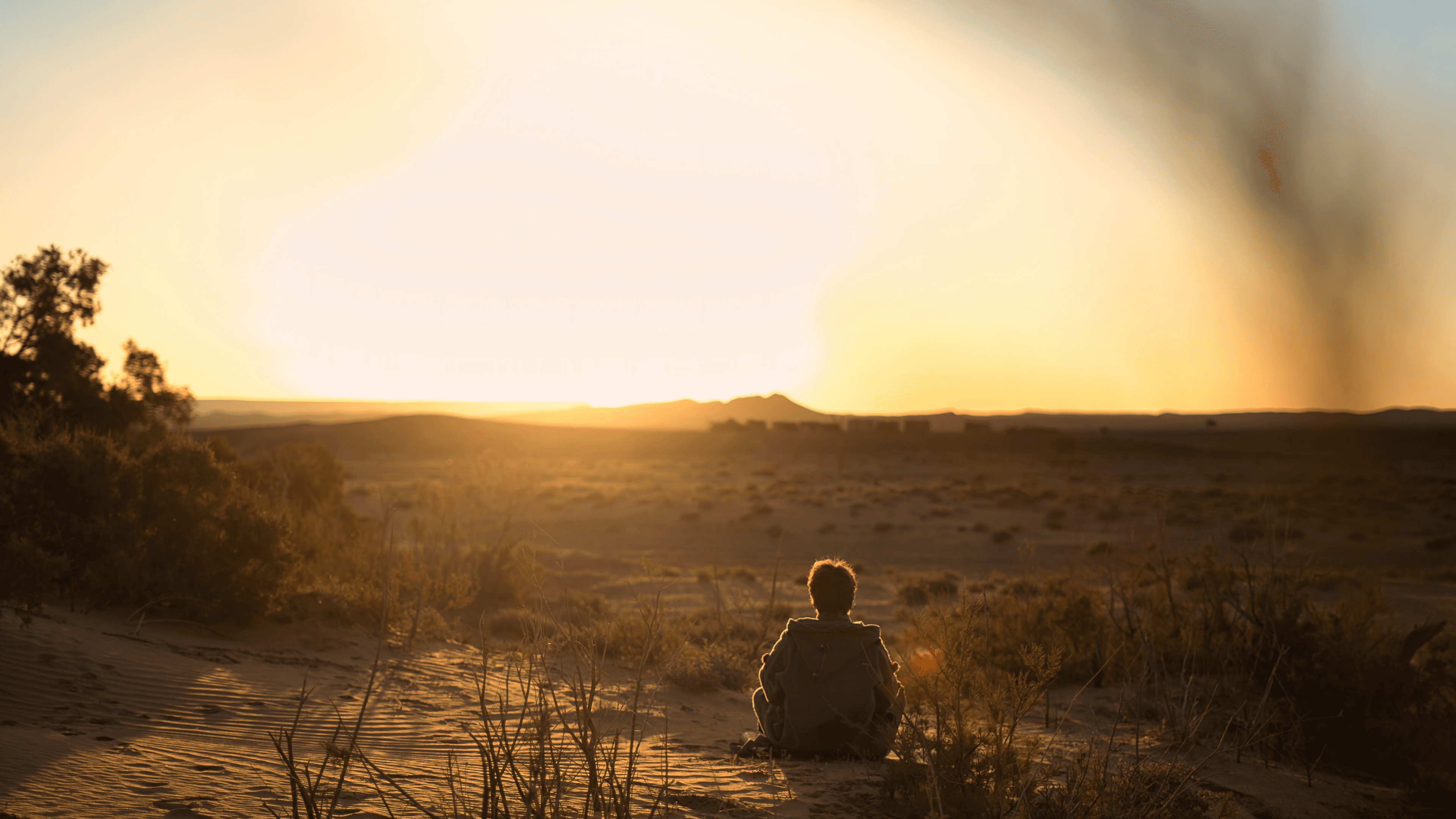 Delve Into Desert // Wüstenreise