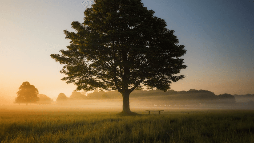 Live Manifestation Workshop (Advanced) - 2 hours