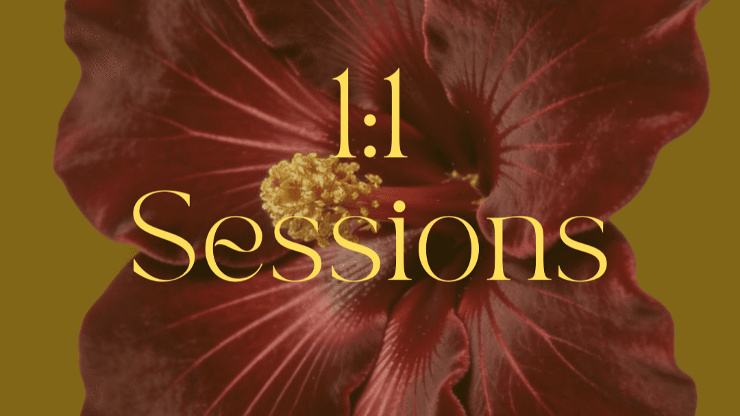 1:1 Single Session