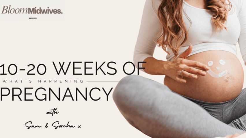 Free Workshop:What’s Happening Between 10–20 Weeks