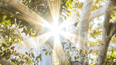 Reiki & Energetisches Balancing 💚