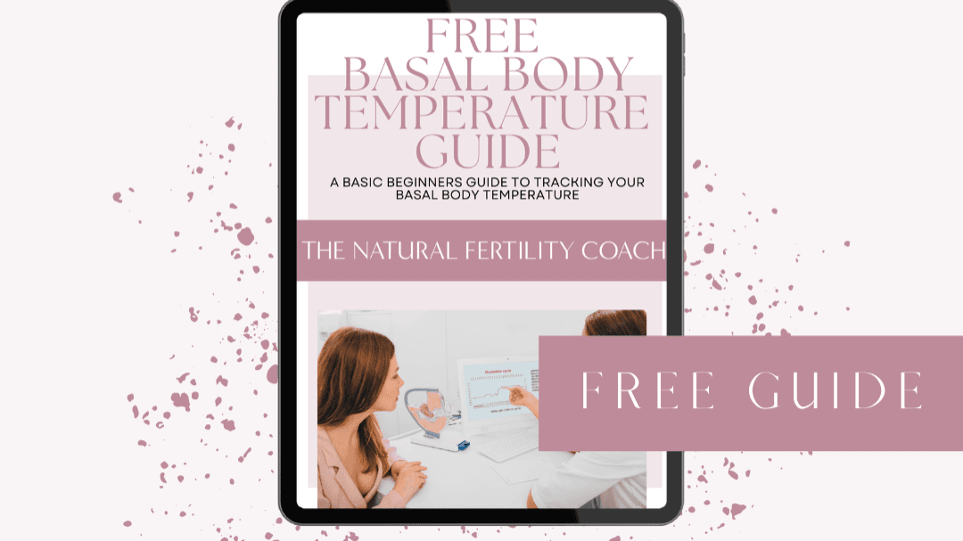 Free Basal Body Temperature Tracking Guide 