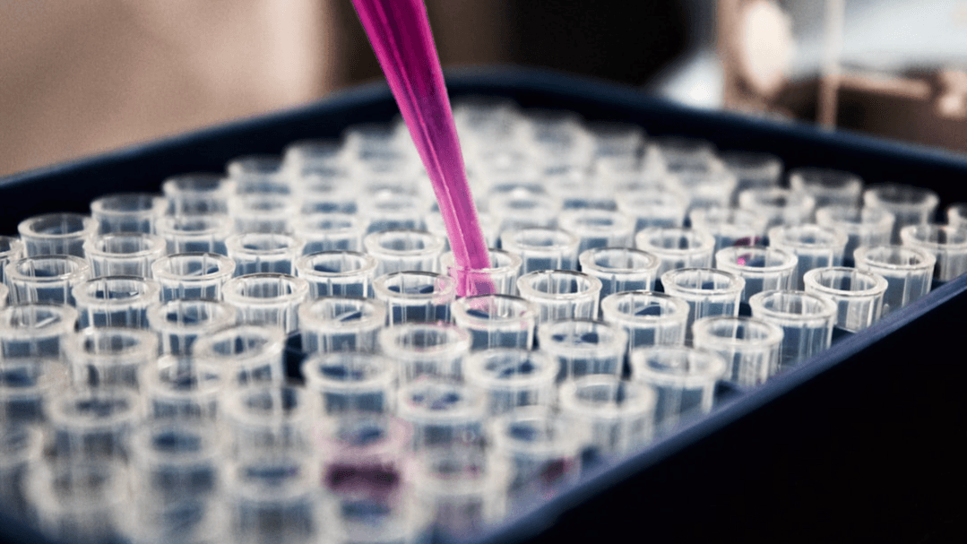 Food Sensitivity & Nutrient Deficiency Test