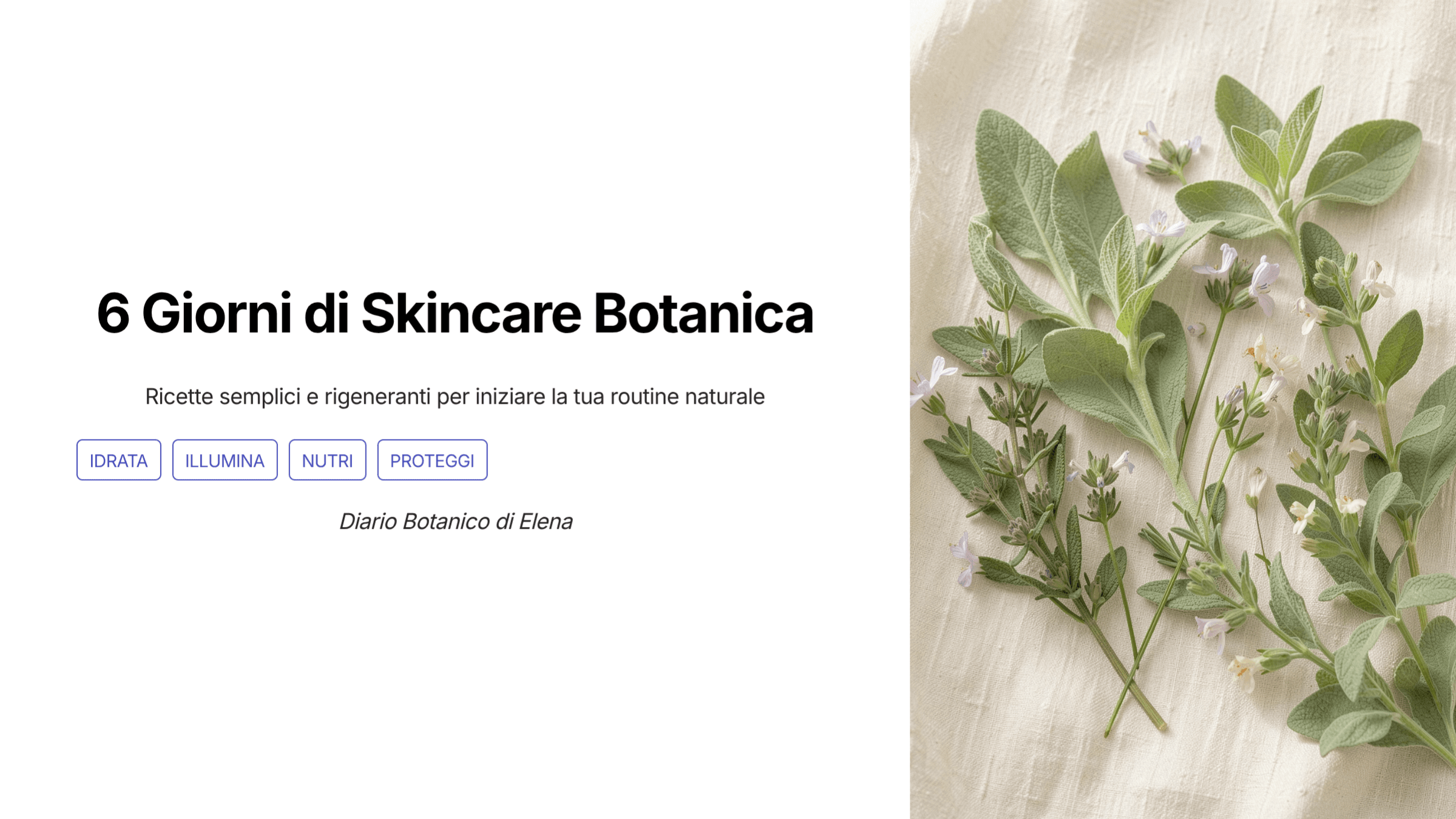 6 Giorni di Skincare Botanica 💚