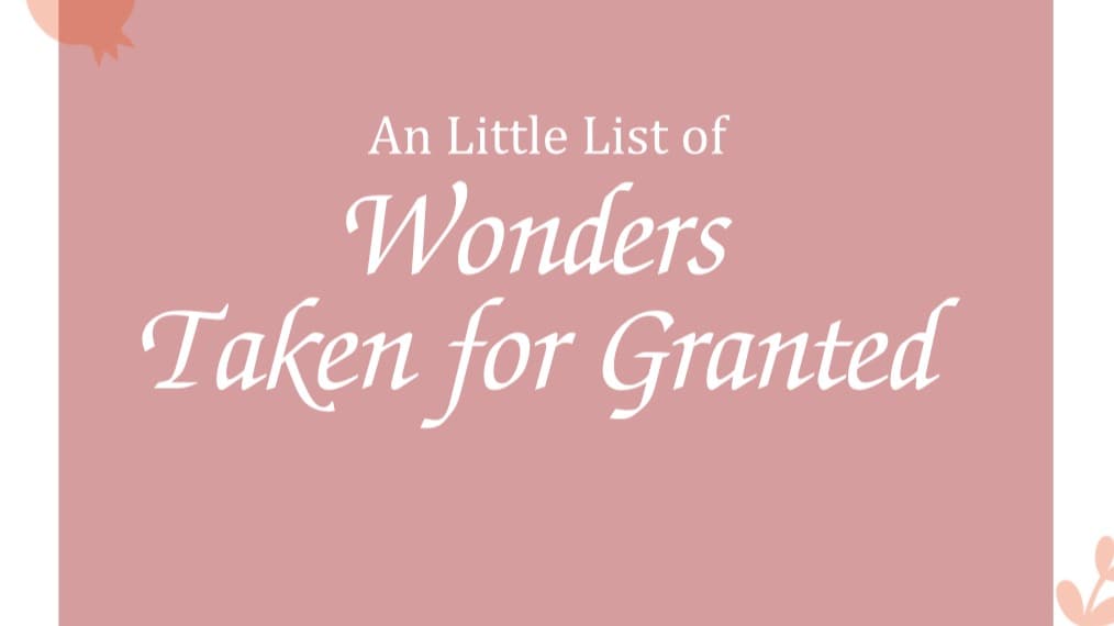 An Little List of Wonders Taken for Granted