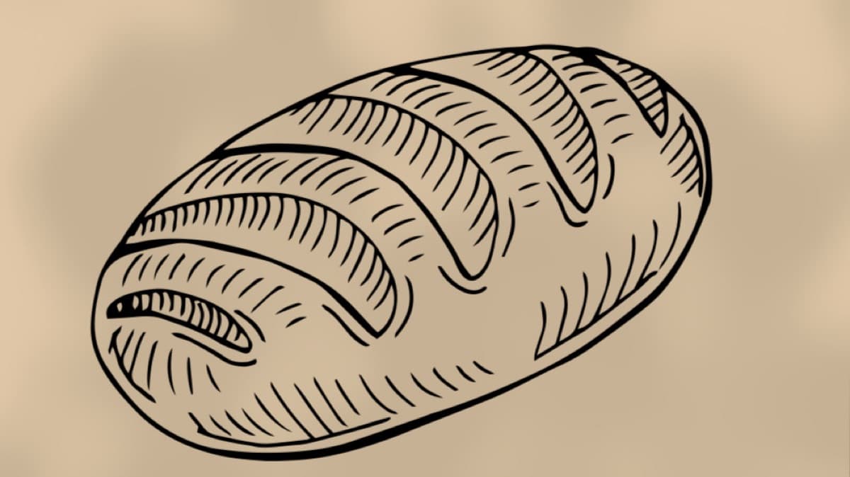 FREE Sourdough Starter Guide