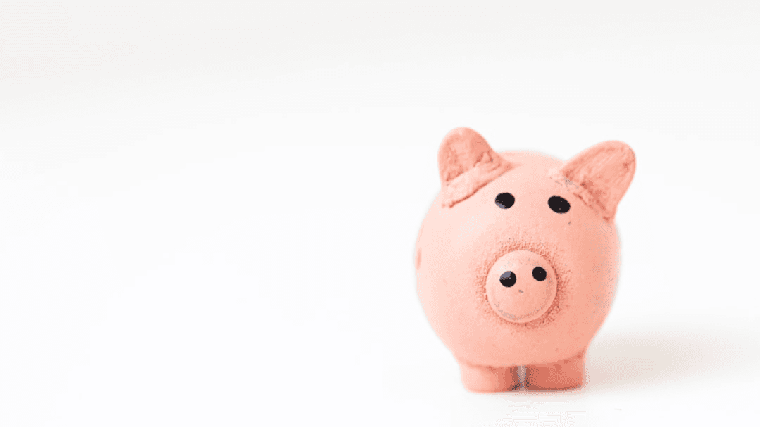 💰 BUDGET REVIEW & ACTION PLAN (HOUSEHOLD)