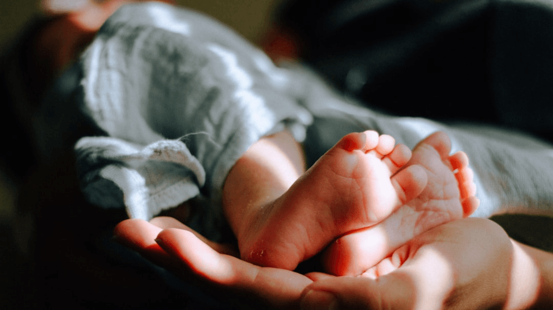 The IVF Sisterhood