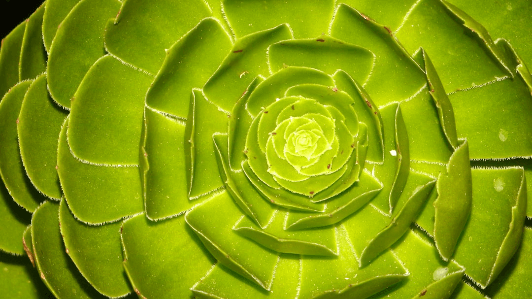 Round About: Life's Crossroads Reading