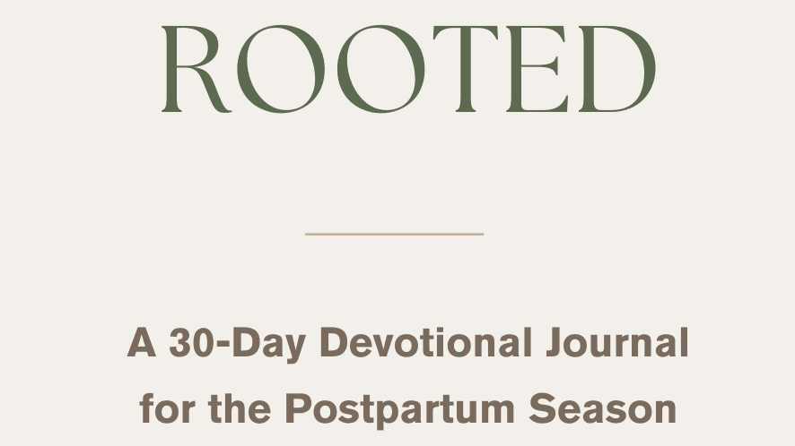 Get My Digital Download of my 30 Day Devotional