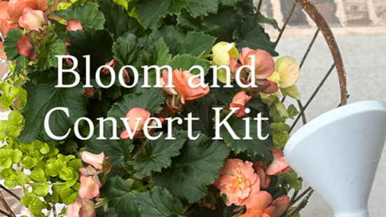 The Bloom and Convert Kit
