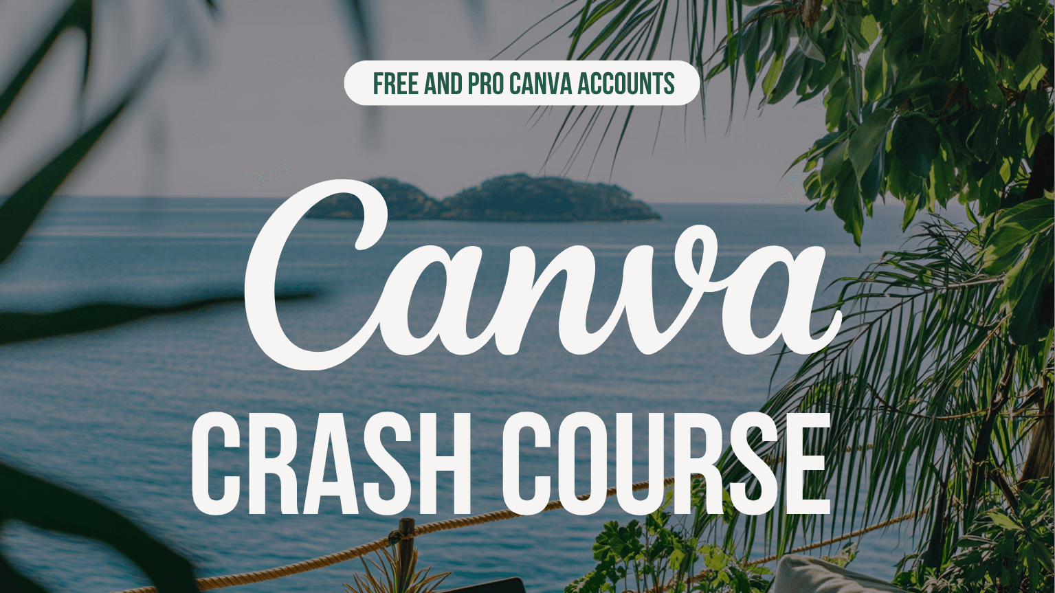 CANVA CRASH COURSE TO BECOMING A DESIGNER MRR&PLR