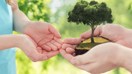 Family & Systemic Constellations