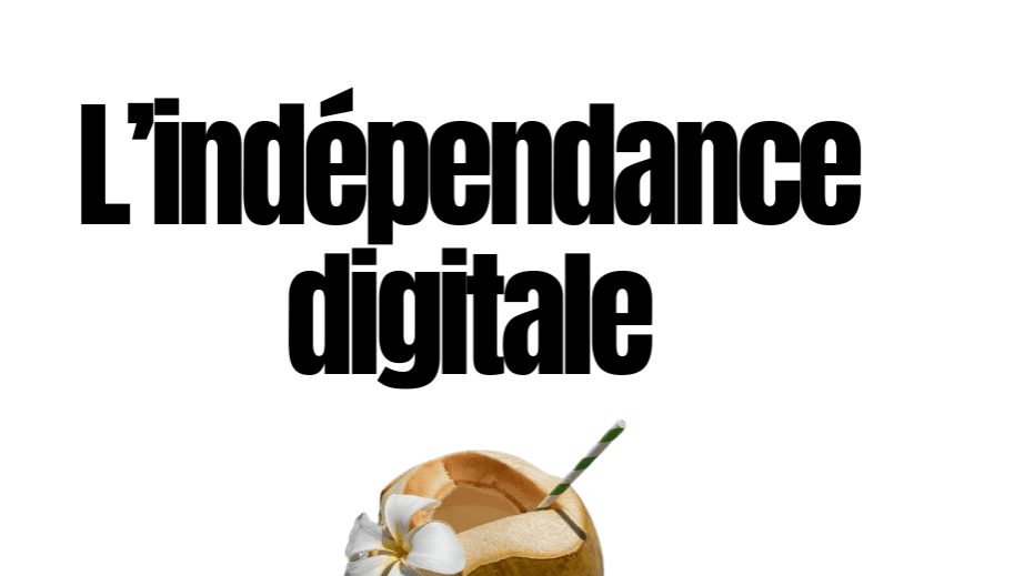 OPPORTUNITES DIGITALES