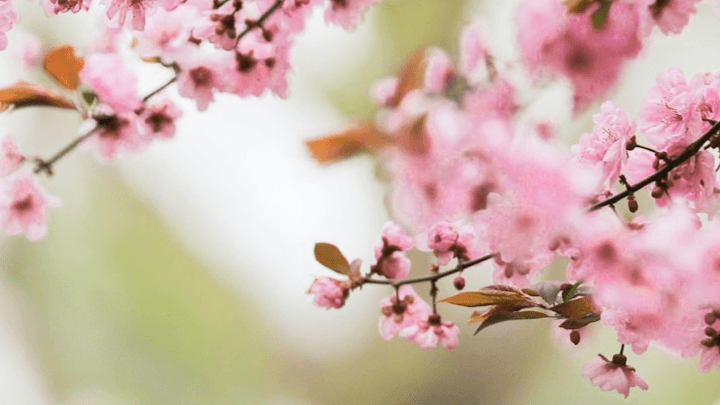 GLP & Hormones Over 40: What You Must Know