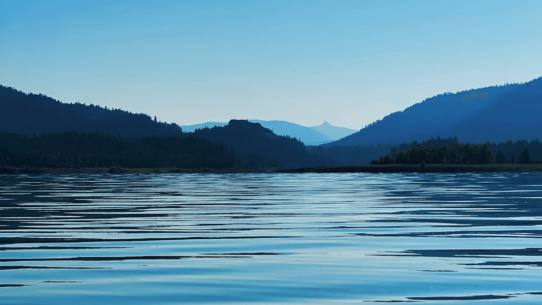Lake Life or Downtown Living?