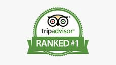 Guide: Be Number 1 On TripAdvisor And AI Search