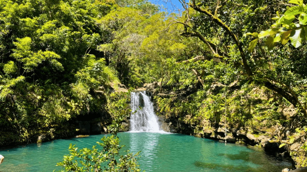 The Stress Free Road to Hana Guide