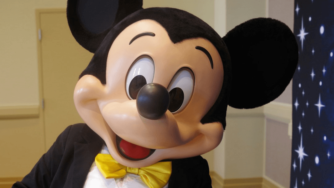 ✨VIP Disney Planning Concierge