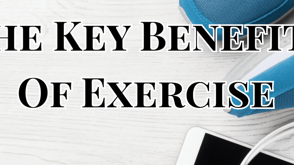 FREE Guide for Bariatric Patients