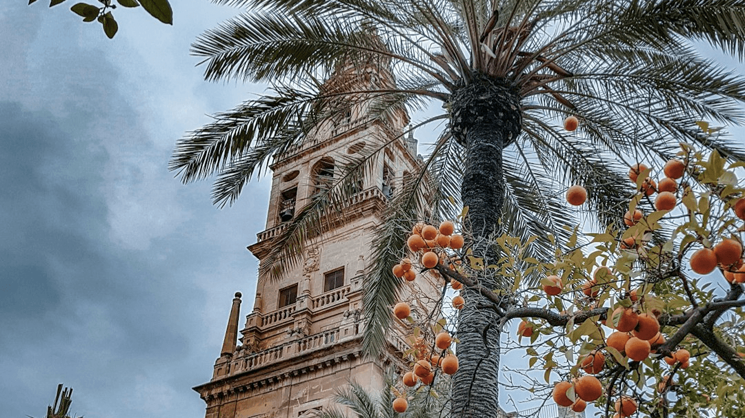 Waitlist - Southern Spain Group Trip Sep/Oct 2027