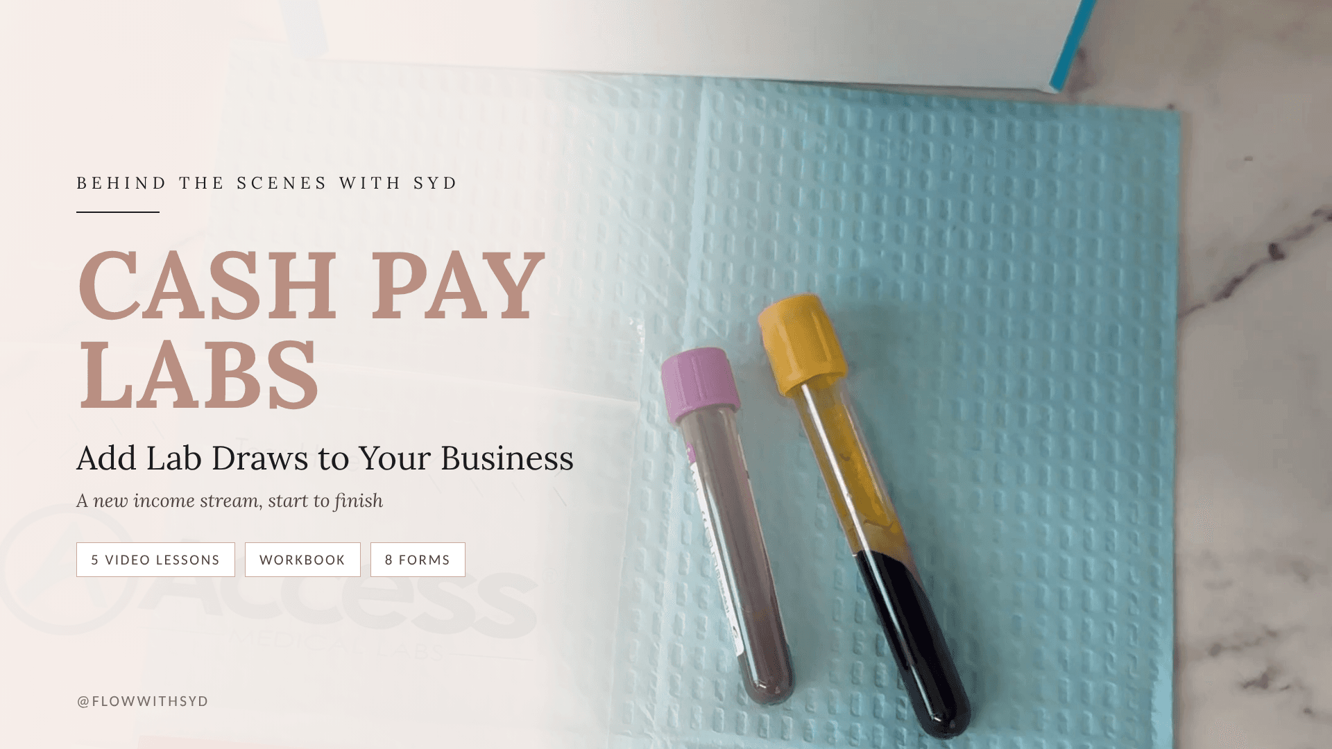 Cash Pay Labs: Add An Additional Income Stream