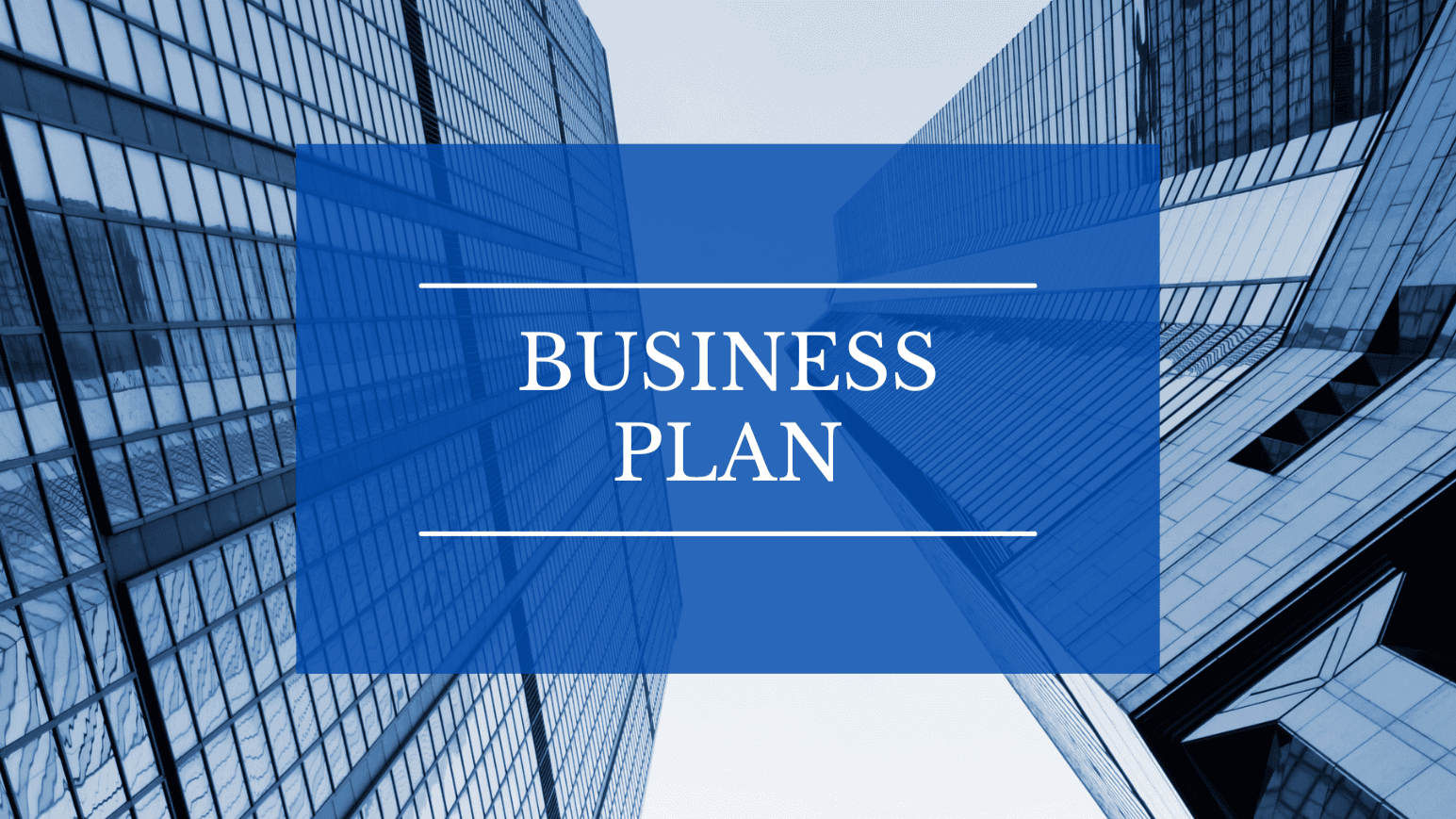 Business Plan Guide