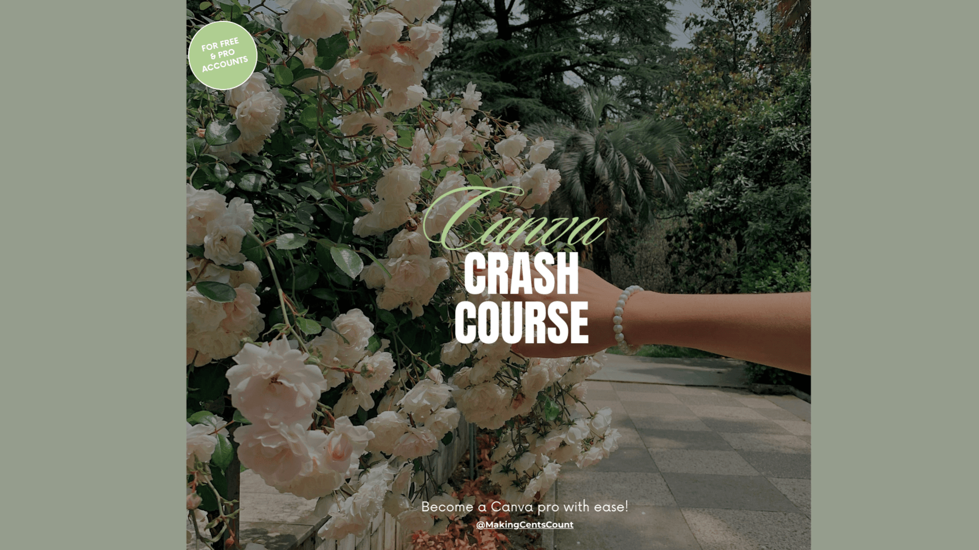 The Canva Crash Course