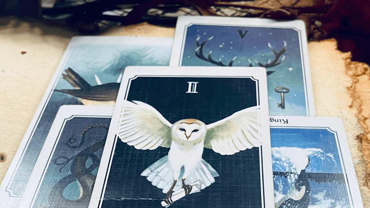 Same Day-24 Hour/Weekend Energy Reading ✨ | $488