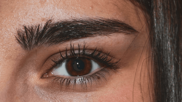Eyebrow Wax and Tint Course