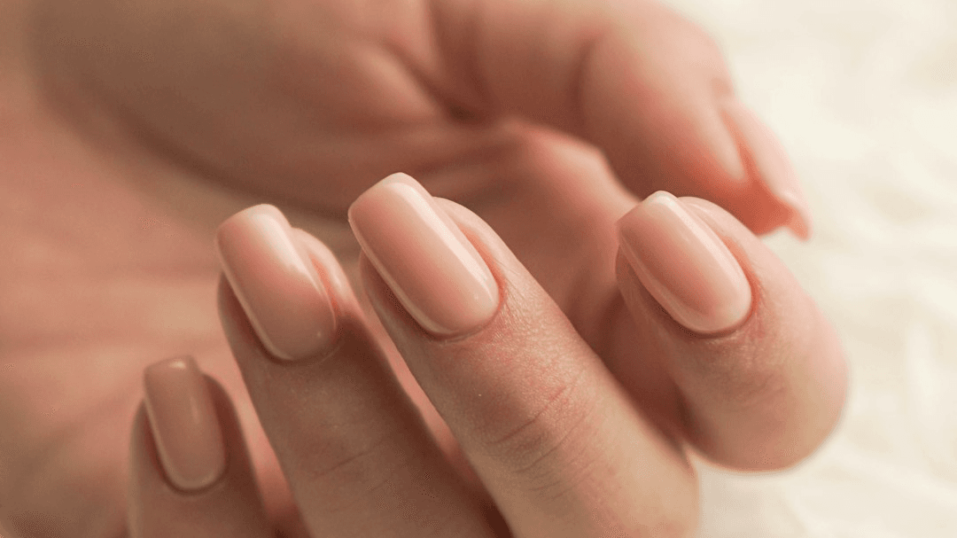 Builder Gel Course