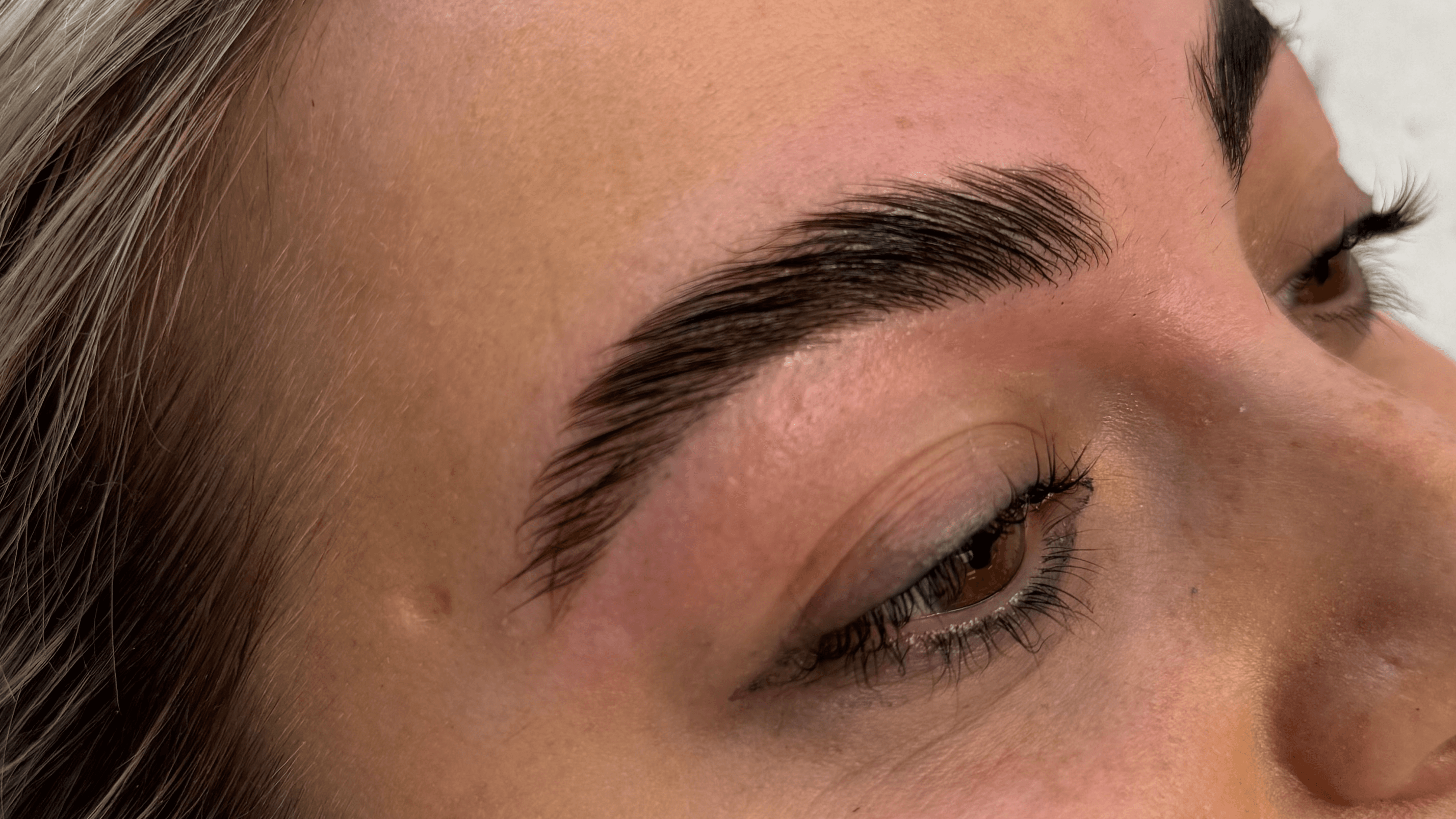 Eyebrow Hybrid Dye Course