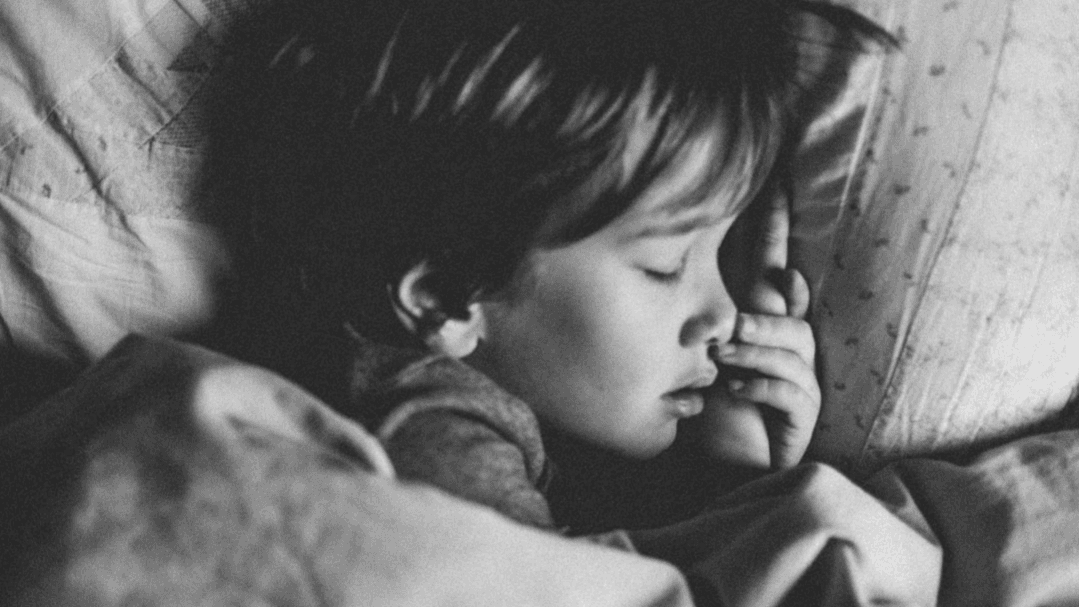 Webinar - Fever, Integrative Approach