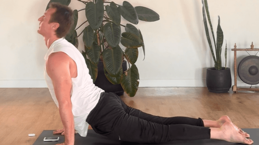 Free 15 Minute Reset Flow